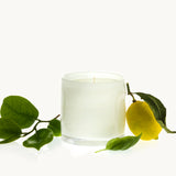 Alixx Heure du Thé Cylindre 15 oz