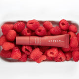 ÂN-GLOSS Ceramide Lip Tint