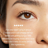LASHFOOD Lash + Brow Enhancer Serum Duo
