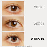 LASHFOOD Eyelash Enhancing Serum, 3 Month Supply
